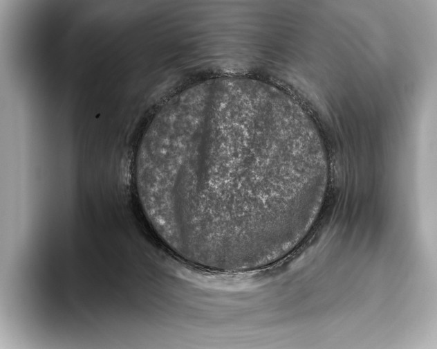 X0000093480032200711020941