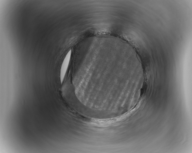 X0000093480041200711020941