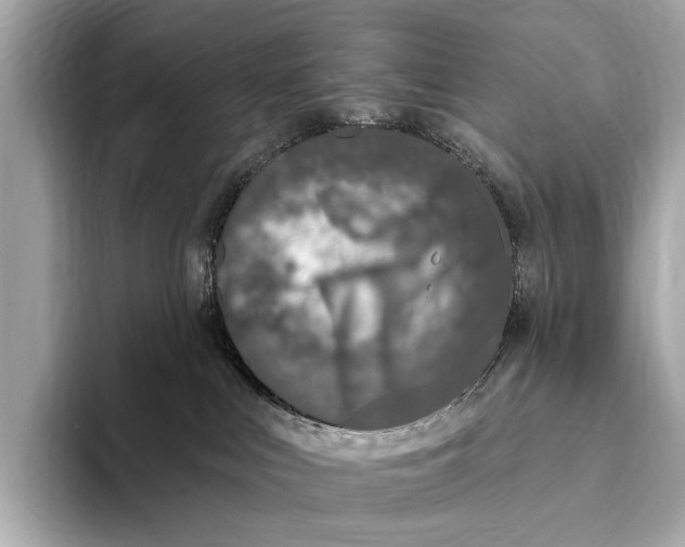 X0000093480043200711020941