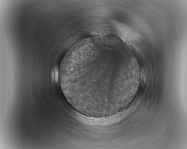 X0000093480046200711020941