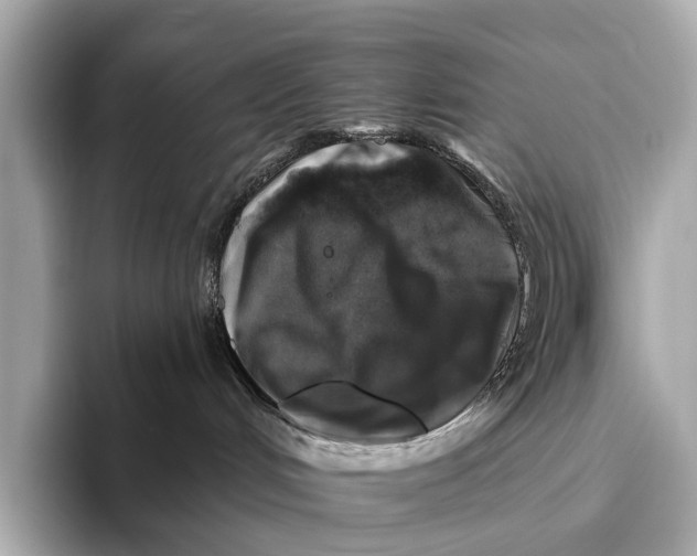 X0000093480048200711020941