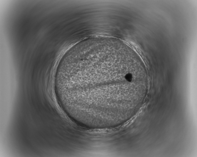 X0000093480049200711020940