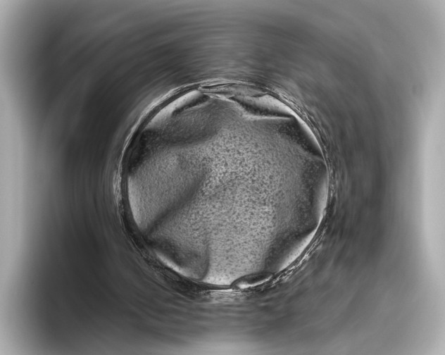 X0000093480050200711020940