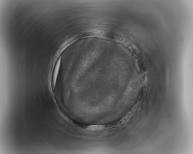 X0000093480051200711020940