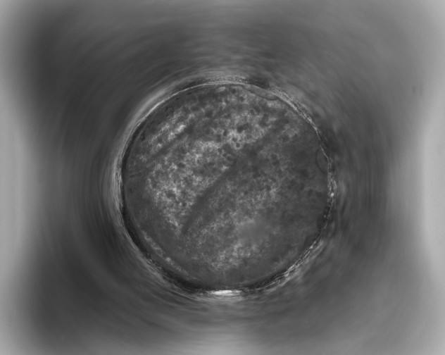 X0000093480053200711020940