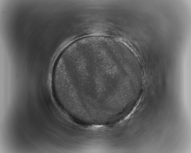 X0000093480055200711020940