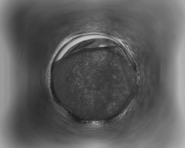 X0000093480056200711020940