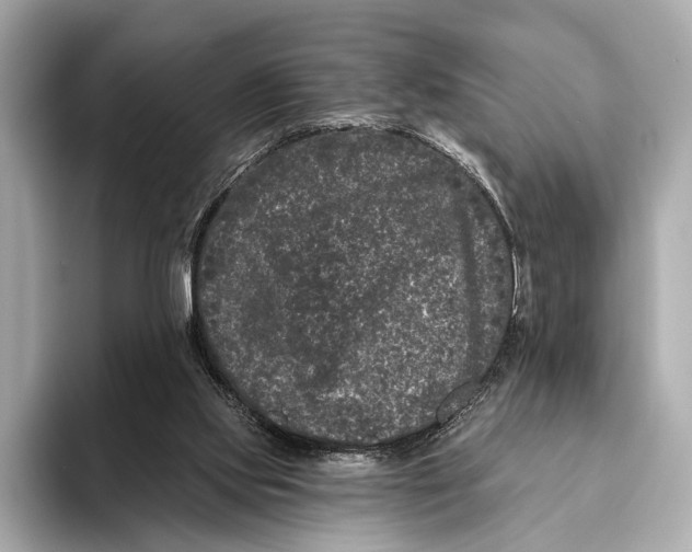 X0000093480061200711020940