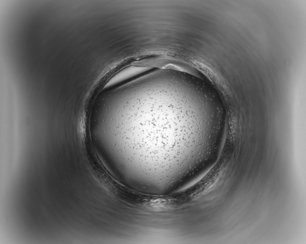 X0000093480064200711020940