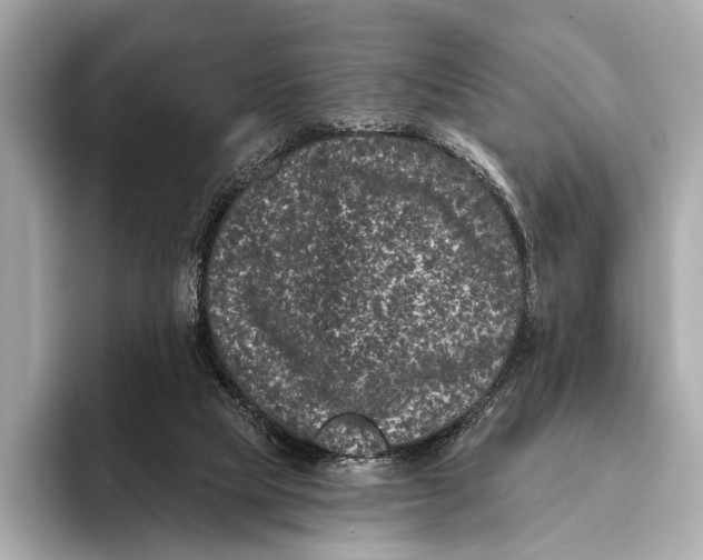 X0000093480065200711020940