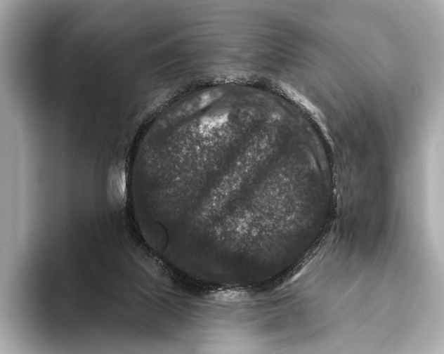 X0000093480067200711020941