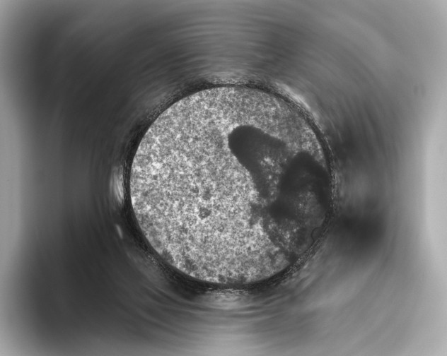 X0000093480069200711020941