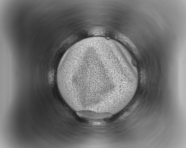 X0000093480073200711020941