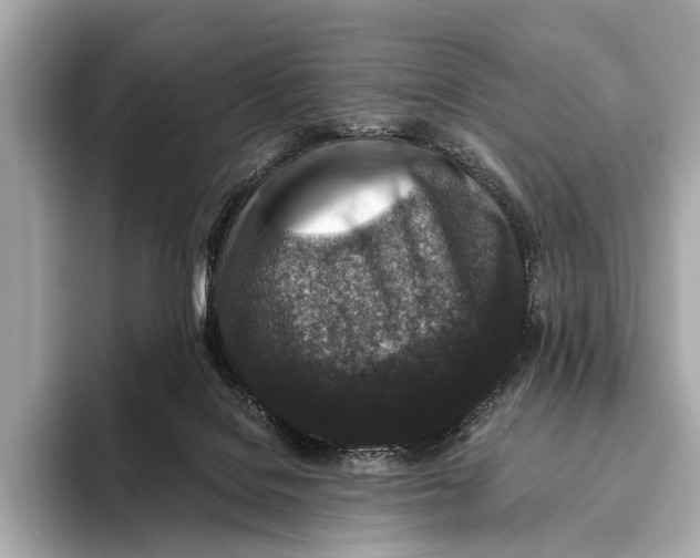 X0000093480076200711020941