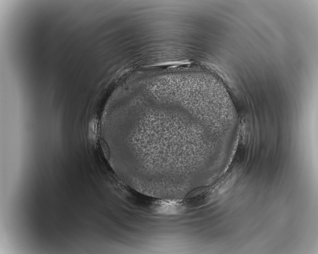 X0000093480093200711020941