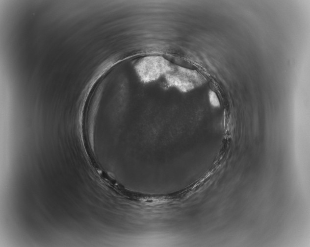 X0000093480099200711020940