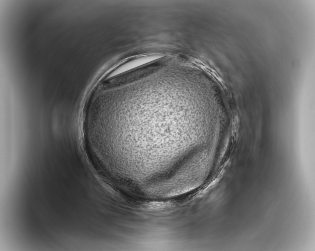 X0000093480101200711020940