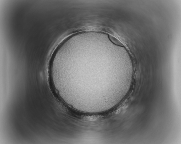 X0000093480103200711020940