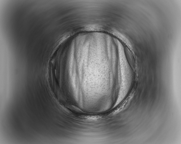 X0000093480105200711020940