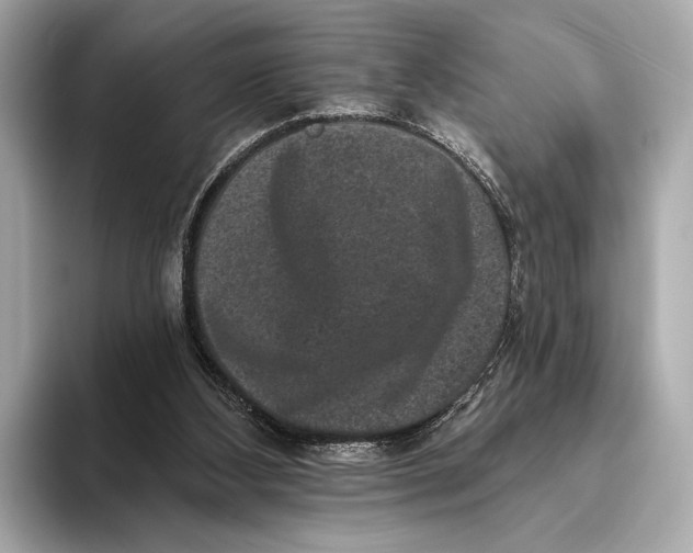 X0000093480108200711020940