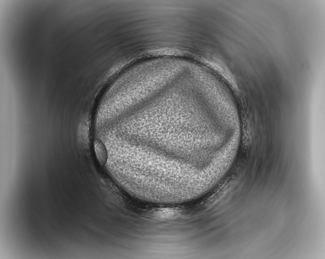 X0000093480111200711020940