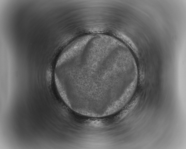 X0000093480113200711020940