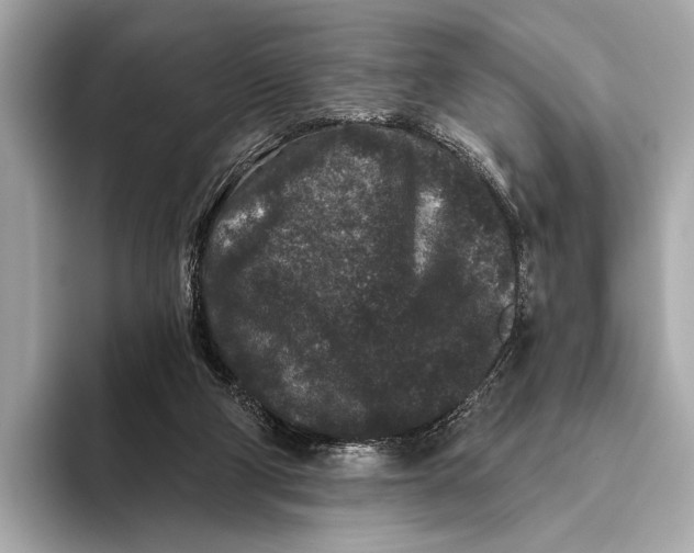 X0000093480114200711020940