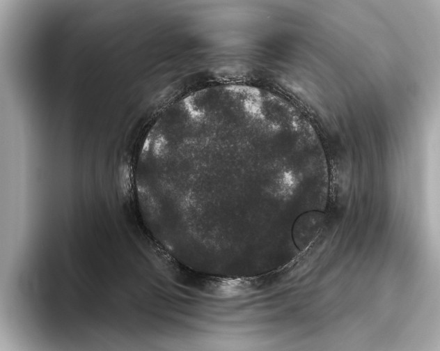 X0000093480130200711020940