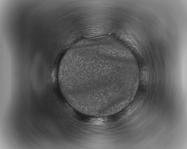 X0000093480131200711020940