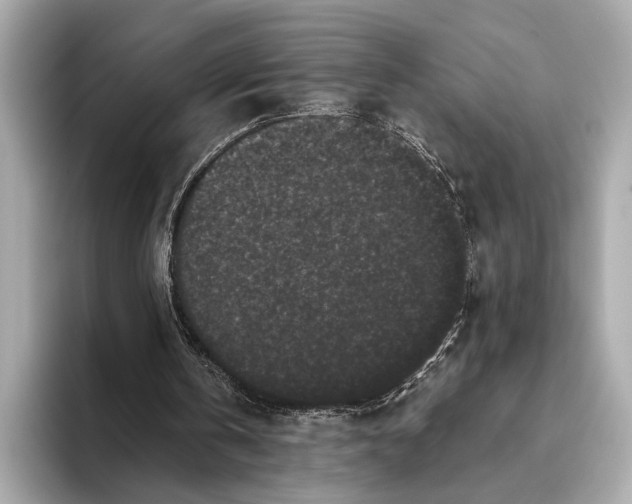 X0000093480146200711020939