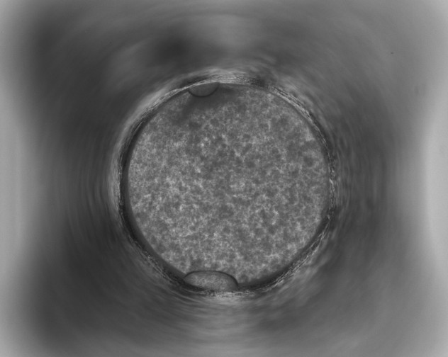 X0000093480149200711020939