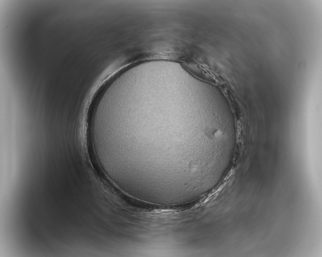 X0000093480150200711020939