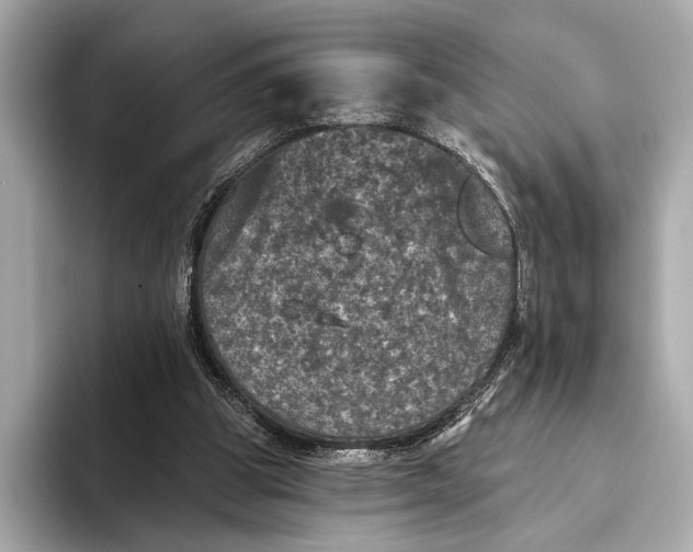 X0000093480153200711020939