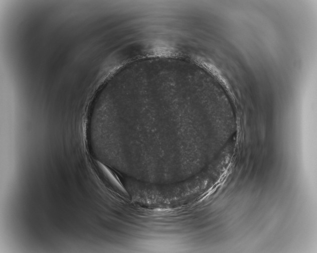 X0000093480154200711020939