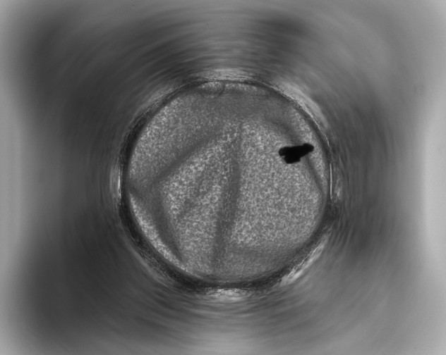 X0000093480157200711020939