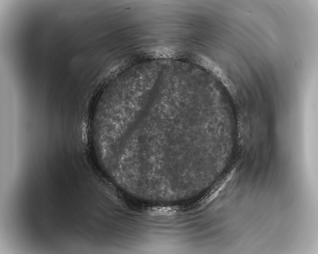 X0000093480161200711020939