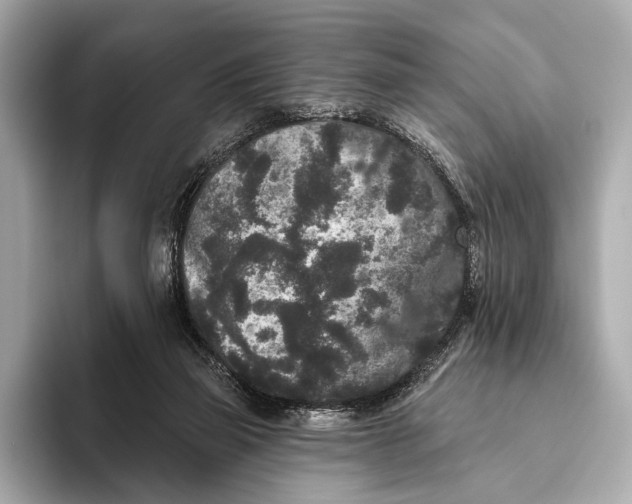 X0000093480165200711020939
