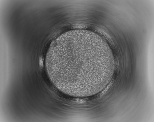 X0000093480166200711020939