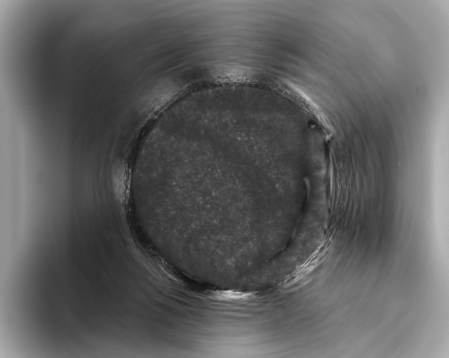 X0000093480168200711020939