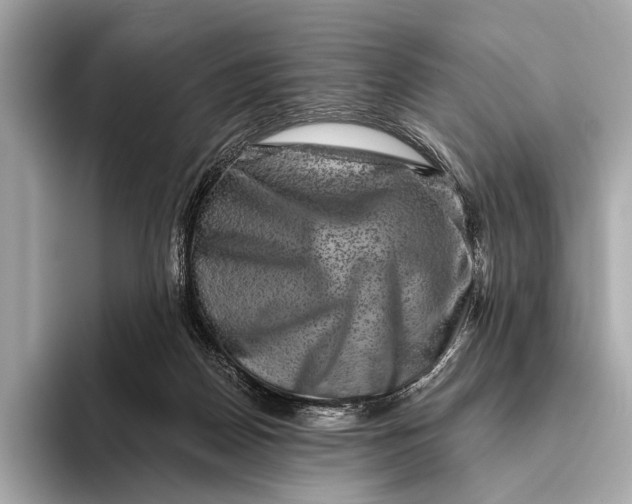 X0000093480170200711020939