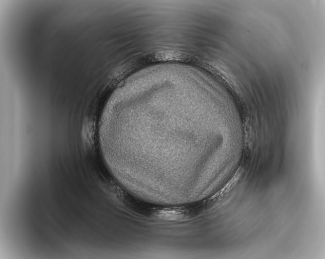 X0000093480171200711020939