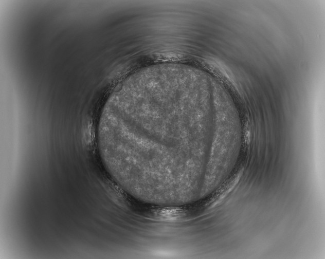 X0000093480173200711020940