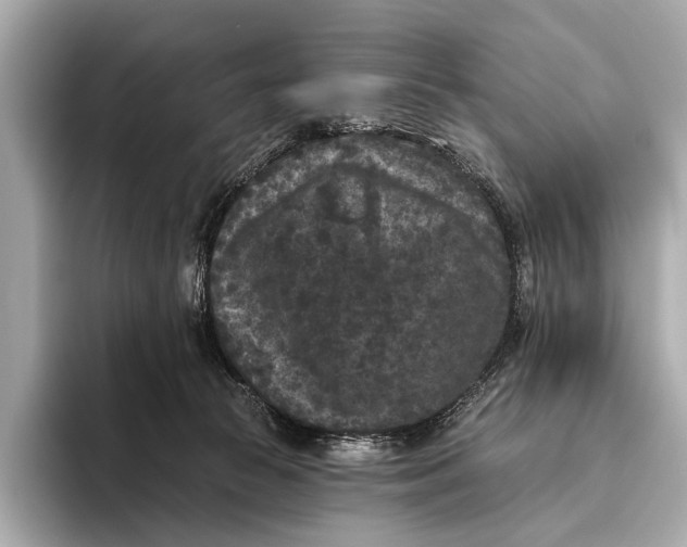 X0000093480177200711020940