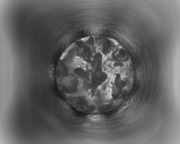 X0000093480181200711020940