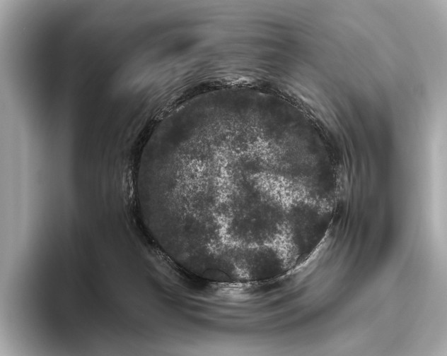 X0000093480182200711020940