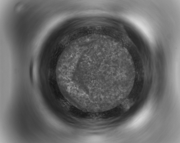 X0000093480189200711020940