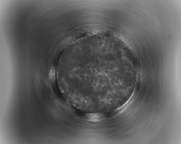 X0000093480191200711020940