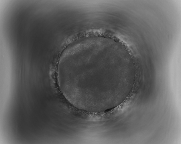 X0000093480192200711020940