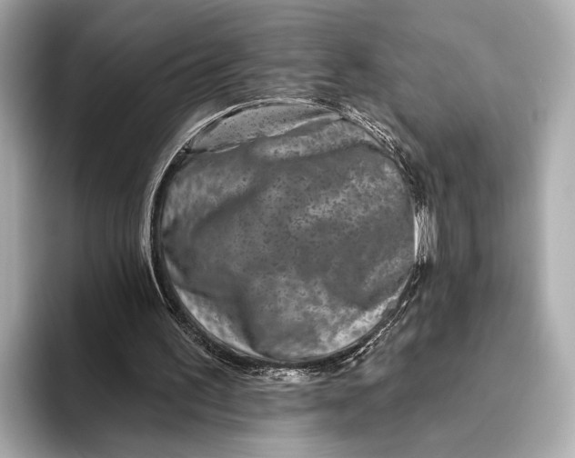 X0000093480195200711020939