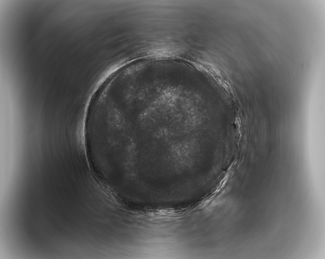 X0000093480196200711020939